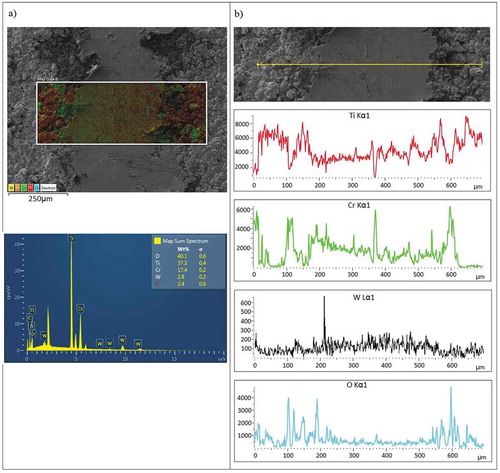 Figure 7. Worn surface EDS images obtained using WC-Co counter body ball. (load: 15N; sliding frequency: 3Hz) (a) area mapping (b) line scanning