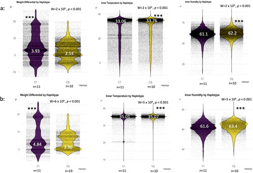 Figure 5. Haplotype thermoregulation and weight gain irrespective of the location. Overall averages of the studied variables (weight, temperature, humidity) throughout the four seasons (a), overall averages excluding the winter season (b). (n) number of haplotype/colony averaged in each category, median is given for each boxplot in white font. Wilcoxon level of significance is p < 0.001***.