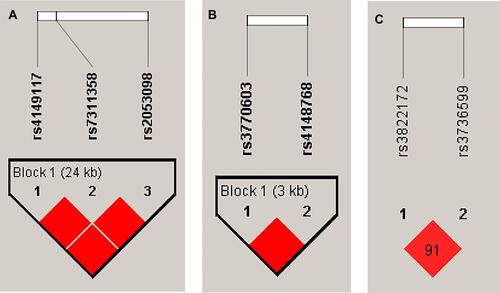 Figure 2 Haploview linkage disequilibrium map of SNPs across DMET genes: (A) SLCO1B3; (B) ABCB11; and (C) SULT1E1. Pairwise linkage disequilibrium (D’) values are given in blocks for each SNP combination. Empty dark red blocks indicate D’ values of 1.0.