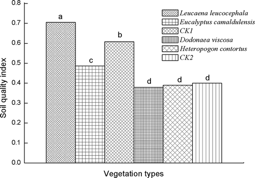 Figure 4 Soil quality index (SQI) under different vegetation types. Values with the same letter are not significantly different at the p < 0.05 level. CK1, bare soil (no coverage) in Yuanma station (slope area); CK2, bare soil (no coverage) in Zuolin station (gully bed).