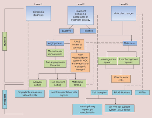 Figure 2. Hurdles in hepatocellular carcinoma treatment classified as level 1, level 2 and level 3.Level 1 includes hurdles encountered at screening and diagnosis which involves asymptomatic disease, poor awareness of patient, lack of resources, as in case of low middle income countries, and patient’s inability to pay for the tests. Educational hurdles include both poor patient’s education and insufficient knowledge of healthcare provider. Level 2 includes treatment decision and acceptance of the treatment strategies and involves picking right treatment strategy based on the stage and liver function status. Level 3 includes hurdles in hepatocellular carcinoma (HCC) treatment at molecular level which holds potential to investigate various molecular changes observed in HCC patients. All these hurdles show the way to several prospects for HCC treatment which include prophylactic measures, xenotransplantion with pig liver, cell therapies and targeting awry molecules/pathways. The dotted lines in the flowchart depicts correlated aspects of hurdles and prospects.BAL: Bio-artificial liver; HCC: Hepatocellular carcinoma; PHT: Primary hepatocyte transplantation; RAAS: Renin–angiotensin–aldosterone system.