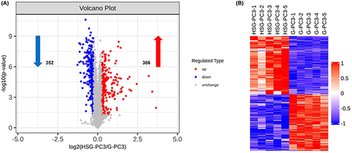 Figure 5 Proteomic response between geraniol and HA-SS-geraniol groups. (A) Volcano plot of differentially expressed proteins, with red and blue dots representing up-regulated and down-regulated proteins, respectively. Screening criteria: p value <0.05, Fold change>1.2 or <0.833. (B) Hierarchical clustering of differentially expressed proteins. Red represents an up-regulated protein, blue represents a down-regulated protein, and gray represents no protein quantitative information.