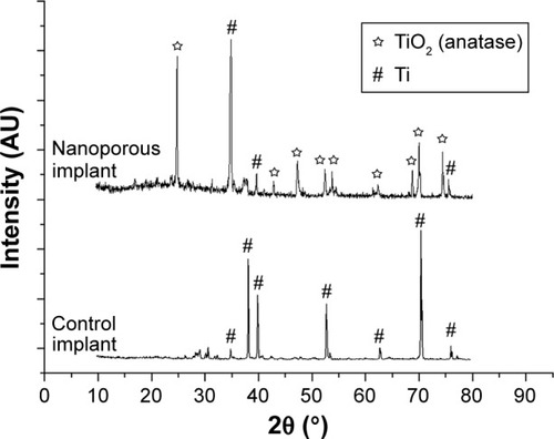 Figure 4 XRD pattern of TiO2 nanoporous implant samples and untreated implant samples.Abbreviation: XRD, X-ray diffraction.