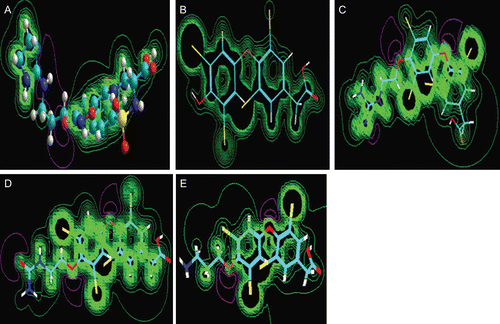 Figure 4.  Two-dimensional contour plots of electrostatic potential for XT199 (A), tetrac (B) and compounds (9) (C), (10) (D) and (11) (E).