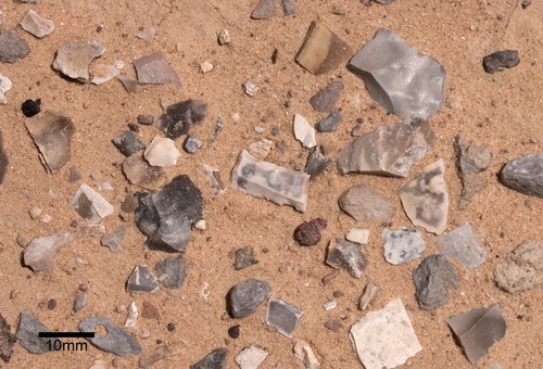 Close up photograph of the stone tool ‘pavement’ at Barqa showing dense concentration of Epipalaeolithic artefacts