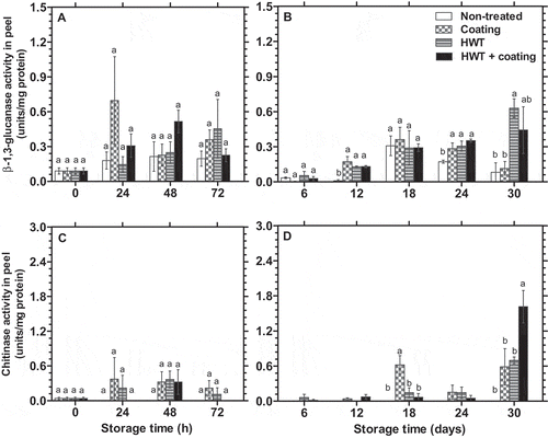 Figure 2. Changes in β-1,3-glucanase (A, B) and chitinase activities (C, D) (n = 3) in the peel of dragon fruit coated with 1.0% chitosan- and 0.2% κ-carrageenan-based composite, HWT, or HWT + composite coating, compared to non-treated fruit, during storage at 10°C. Different letters above bars indicate significant differences (p < 0.05) on the same storage day according to Fisher’s LSD test