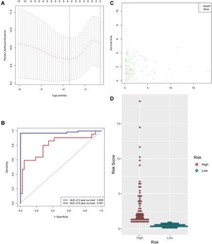 Figure 6 Identification of the signature significantly associated with the survival of patients with CRC in the training group. (A) LASSO Cox regression algorithm was used to reduce the scope. (B) Time-dependent ROC curves analysis. (C and D) Risk score distribution and survival status for patients in high- and low-risk groups by the signature (p<0.05).