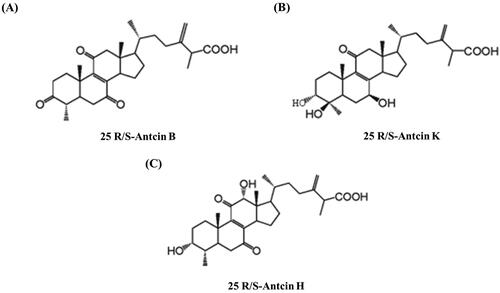 Figure 1. Major compounds of LEAC-102 powder. (A) 25R/S-Antcin B, (B) 25R/S-Antcin K, and (C) 25R/S-Antcin H were primary compounds of LEAC-102 powder and analyzed by high-performance liquid chromatography (HPLC).
