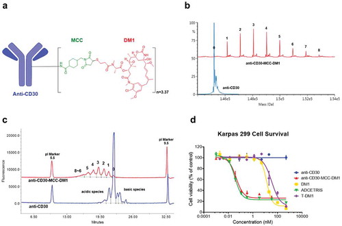 Figure 1. Structure and characterizations of anti-CD30-MCC-DM1. a, Structure of anti-CD30-MCC-DM1. b, Deconvoluted intact mass spectra of anti-CD30 mAb and anti-CD30-MCC-DM1 acquired by LC-MS; all samples were treated with PNGase F. c, Electrophoretogram of anti-CD30 mAb and anti-CD30-MCC-DM1 acquired by imaged capillary isoelectric focusing. d, In vitro sensitivity of Karpas 299 cells to anti-CD30 mAb and ADCs. Karpas 299 cells were plated at 5000 cells/well and were exposed to a gradient titration of anti-CD30 (the parental mAb cAC10); anti-CD30-MCC-DM1; DM1 (the free drug); ADCETRIS (anti-CD30-vc-MMAE); or T-DM1 (a control ADC (anti-HER2-MCC-DM1)). Cells were assessed for cytotoxicity by the Alamar Blue assay after 96 h of continuous exposure, as described in the “Materials and methods.” The percentage cell viability was relative to untreated control wells. Results for each study are plotted as the mean (± SEM).