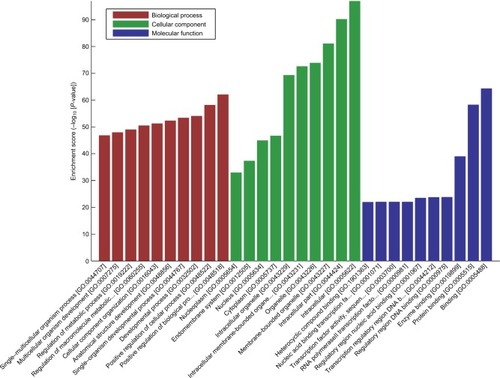 Figure 4 GO enrichment analysis. GO enrichment corresponds to the top 100 circRNAs.