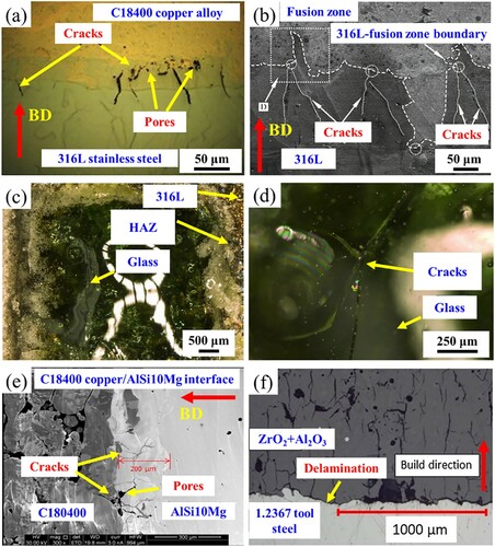 Figure 7. Interfacial defects in various multi-material structures: (a) 316L/C18400 (Liu et al. Citation2014), (b) 316L/CuSn10 (Chen, Yang et al. Citation2019), (c, d) 316L/soda-lime glass (Zhang, Wei et al. Citation2019), (e) AlSi10Mg/C18400 (Sing et al. Citation2015), (f) 1.2367 tool steel/ ZrO2+Al2O3 (Koopmann, Voigt, and Niendorf Citation2019).