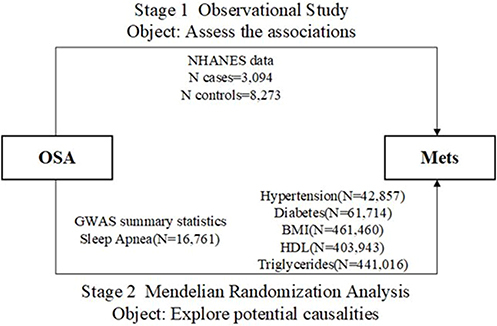 Figure 1 A two-stage study design: observational study and Mendelian randomization.