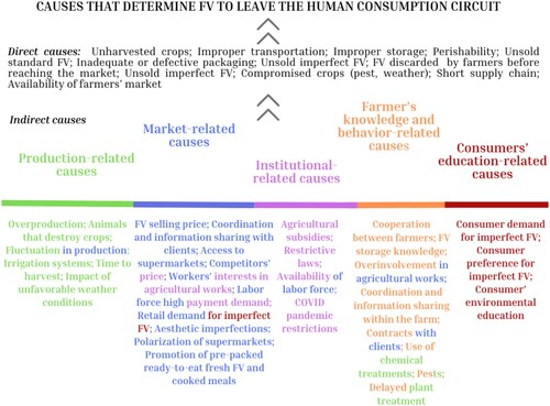 Figure 3. Direct and indirect causes that determine FV to leave the human consumption circuit identified by farmers.