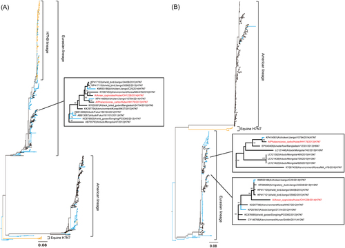 Fig. 2 Maximum-likelihood phylogenetic trees for HA and NA segments of two H7N7 strains.a HA and b NA. Virus strain names are colored by host: blue for poultry, orange for human and mammals and black for wild birds and environment samples. The CH1228/H7N7 and HH179/H7N7 strain names are marked in red