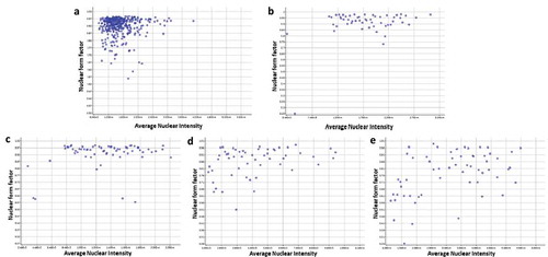 Figure 6. The nuclear form factor distribution of bGCs during in vitro expansion (generated by Cell Cycle Apps of Cytell). (a-e) nuclear form factor of bGCs from primary culture, 7th passage, 14th passage, 22nd passage, and 25th passage.