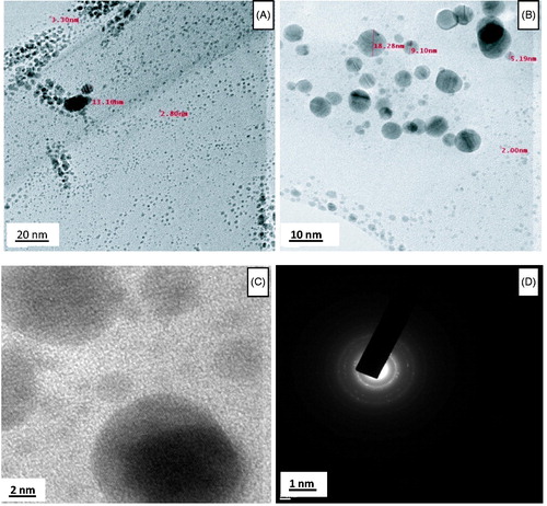 Figure 3. TEM images (A–C) of AgNPs in low and high magnification and (D) SAED patterns of the AgNPs.