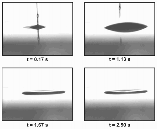 Figure 2. Video sequence of a toluene drop evaporation on polystyrene (∼2.5 s, drop diameter ∼300 μm).