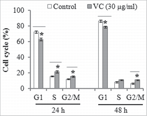 FIGURE 3. The effect of vitamin C treatment on cell cycle progression. Cell cycle distribution was determined by flow cytometry after the ADSCs were incubated in the absence or the presence of 30 µg/ml vitamin C for 24 and 48 h. The data denoted as mean ± SD, *P< 0.05, compared with control.