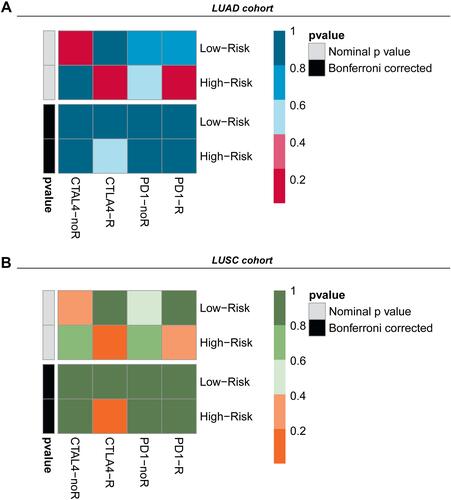 Figure 8 Patients with high PLCRC are more suitable to anti-CTLA4 therapy. (A) Response results to anti-CTLA4 and anti-PD1 therapy of LUAD patients; (B) Response results to anti-CTLA4 and anti-PD1 therapy of LUAD patients.