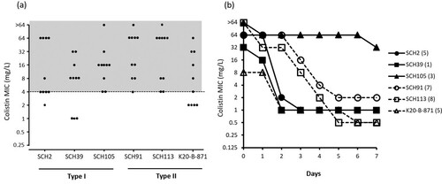 Figure 6. (a) Colistin MIC distributions of strains in media containing 4 mg/L colistin under exposure to colistin as described in experiment 1. The grey highlighted area indicates the MIC range corresponding to colistin resistance. (b) The results of stability test for colistin resistance.