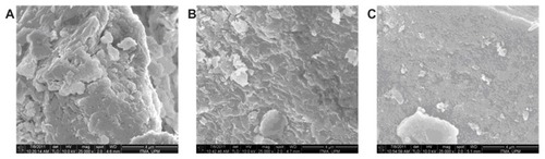 Figure 6 Field emission scanning electron micrographs of ZnAl-NO3 (A), PZAE (B), and PZAC (C) at 25,000×.Abbreviations: Zn, zinc; Al, aluminum; NO3, nitrate; PZAE, perindopril intercalated into ZnAl by ion-exchange; PZAC, perindopril intercalated into ZnAl by coprecipitation method.