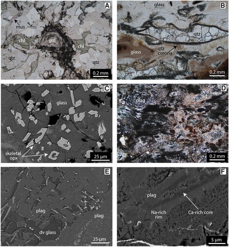 Figure 5. A, Photomicrograph in plane polarised light (PPL) of a garnet-bearing sample of Otago Schist collected near Ram Rock. B, Photomicrograph in PPL of a felsic domain in one of the collected Ram Rock crustal xenoliths. Quartz has lobate boundaries and a dark corona. Glass is heterogeneous in colour, ranging from colourless to a dark brown. C, Backscattered electron (BSE) image of skeletal orthopyroxene grains within glass in a felsic layer. D, Photomicrograph in PPL of a mafic domain in one of the collected Ram Rock crustal xenoliths. The mafic segregations are heterogeneous with a variety of minerals that are too small for optical identification. Glass varies from a medium brown to a dark brown/black colour. E, BSE image of plagioclase grains with a rectangular prismatic crystal shape. This morphology of plagioclase is always found within glass in the mafic layers. F, Inverted BSE image of a zoned anhedral plagioclase grain. Zoned plagioclase grains in the studied xenoliths consistently have a Ca-rich core and Na-rich rim. mus = muscovite, chl = chlorite, grt = garnet, qtz = quartz, opx = orthopyroxene, plag = plagioclase, dv glass = devitrified glass.