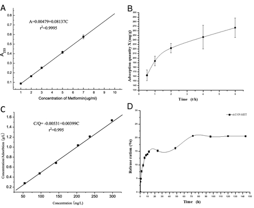 Figure 2 Drug loading of ACNP-MET. (A) Standard curve. A=0.00479+0.08137C (r2=0.9995, P<0.0001). (B) adsorption-time relation. (C) adsorption-concentration curve. C/Q= −0.00531+0.00399C (r2=0.995, P<0.001), C is the concentration of MET in the suspension, Q is the drug loading; saturated adsorption quantity of ACNP for MET: Qm=256.17 mg/g at mass ratio of ACNP: MET=4:1. (D) A release profile of MET from ACNP-MET in PBS buffer at 37°C. The release rate of MET was 20.69% during 72 h. Data are presented as the mean±standard deviation (SD).