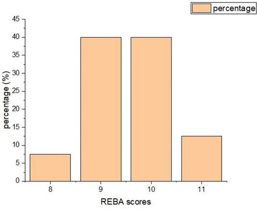 Figure 5. REBA scores: Ironing workers.