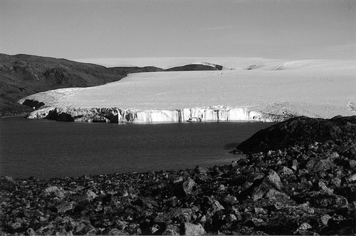 FIGURE 5.  Gneissic boulders with an open vegetation of epilithic lichens belonging to the Orphniospora moriopsis community. Hiawatha Gletscher is in the background