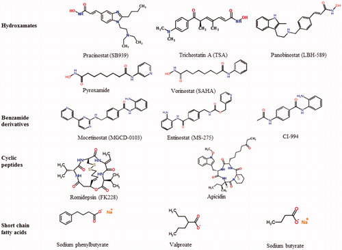 Figure 1. Structurally distinct groups of HDAC inhibitors with typical examples.