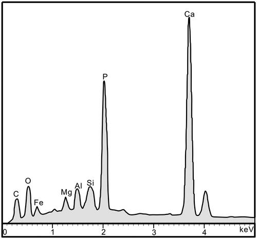 Fig. 4. Peak values of elements in the tube walls of specimen ELI-DBW_003, which yielded strong spectral peaks for Ca and P.