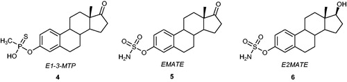 Figure 3. Chemical structures of E1-3-MTP 4, EMATE 5, and E2MATE 6.