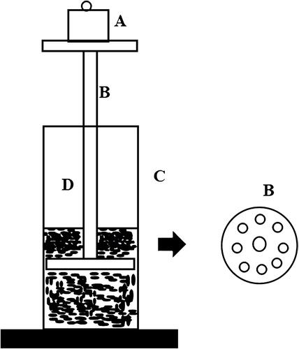 Figure 1 Gel strength measuring device; (A) weights; (B) device; (C) mess cylinder; (D) poloxamer gel.
