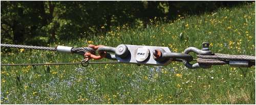 Figure 5. PAT load cell at the mountain anchor of the Buriwand (BW) cable road (photo: Fritz Frutig).