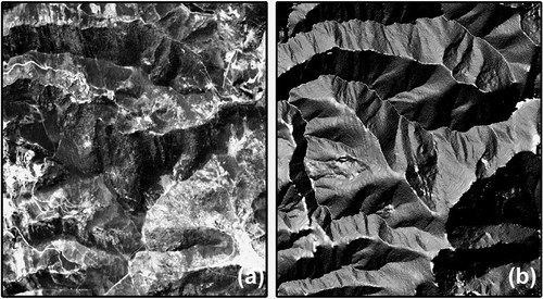 Figure 1. Original IRS image of Sierra de Ancares (a) and shaded digital elevation model (DEM) with NW illumination (b).