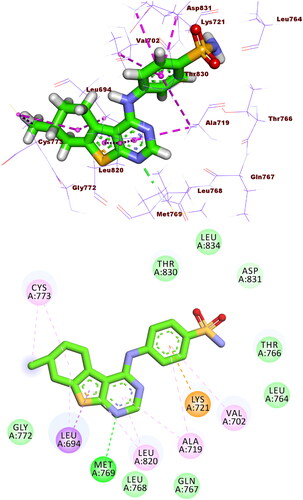 Figure 9. Compound 5f docked into the active site of EGFRWT, forming 1 HB with Met769, and 10 HIs with Val702, Ala719, Leu820, Cys773, and Leu694.