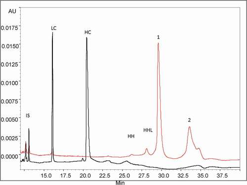 Figure 2. CE-SDS profiles of the purified HMW fraction with (black trace) and without (red trace) reduction by DTT. Peak assignments: LC: Light Chain (25 kDa), HC: Heavy Chain (50 kDa), mAbs without one LC: HHL (125 kDa) and without two LC: HH (75 kDa). Conditions: uncoated silica capillary, 50 µm I.D., 50/60 cm effective/total length, BGE: SDS-MW Gel Buffer at pH 8.0 with 0,2% SDS, −15 kV, 40°C, UV detection at 280 nm. IS: internal standard is a 10 kDa protein.