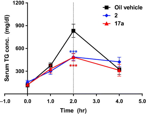 Figure 3. Effect of 17a in the oral lipid tolerance test (n = 5, ***p < .001). Serum TG (or TAG) concentration was measured before and 1, 2, and 4 h after oral administration of corn oil in ICR mice treated with 17a (3 mg/kg) or 2 (1 mg/kg). Vehicle for 2: 0.5% methylcellulose/0.5% Tween80 in distilled water, vehicle for 17a: 0.5% Tween80 in distilled water.