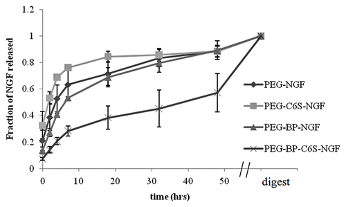 Figure 4. NGF release profile of gels with and without BP and C6S. NGF release was monitored over 48 h. After 2 d, the gels were digested and the amount of NGF quantified. PEG gels that include BP and C6S had the slowest release while PEG gels that only had C6S had the fastest release. Mean ± SE.