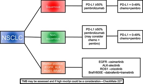 Figure 1 Front-line therapy for advanced NSCLC.