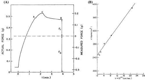 Figure 16 (A) Typical response of the plate method; and (B) yield stress obtained from extrapolation of measured shear stress versus platform speed (from[Citation28]).