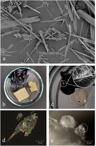 Figure 7. (a) Backscattered electron micrograph of crystals K1, sampled from a transparent silicone door gasket. Photograph: (Keriya Mam (FEI). (b) Petri dish with a lump of the black adhesive Terostat-9220 and three samples of MDF-WJ with and without coating. Long white K2 crystals are visible on Terostat-9220, photograph was taken one week after enclosure. (c) Long white K3 crystals growing on Terostat-9220 in a petri dish with uncured transparent UV-adhesive Delo-Photobond-4468. Photograph was taken one week after enclosure. (d) Polarised transmitted light micrograph of K4 crystals sampled from bronze sculpture Minerva and Cupido, BK-1959-2, Girolama Campagna, c.1600. (e) Micrograph of K4 crystals growing on the tip of palmitic acid granules as extensions (white circle). Photograph was taken half a year after enclosure of palmitic acid and TMP-ol (2,2,6,6-tetramethyl-4-piperidinol).