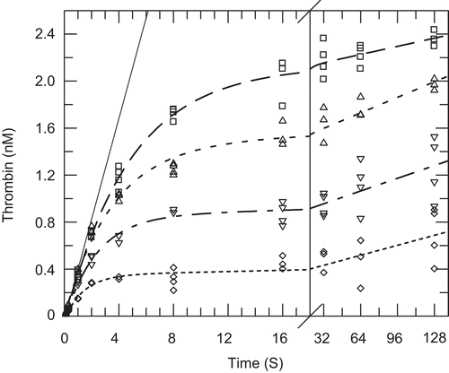 Figure 5.  Quenched-flow time courses for inhibition of prothrombinase by apixaban at sub-saturating prothrombin. Quenched-flow time courses for the activation of sub-saturating prothrombin (97 nM; 0.64 × Km) to α-thrombin were obtained with final concentrations of factor Xa (2.5 nM), factor Va (14 nM) and phospholipid vesicles (26 μM) in HEPES buffer at 37°C in the presence of 0 (open circle, top curve, solid line), 10 nM (open square), 20 nM (open triangle), 40 nM (open inverted triangle), and 80 nM (◊) apixaban as described in the ‘Materials and Methods’. The data were fitted to the Equation 4 and the fitted lines in the figure had the following parameters at 0 nM (solid line): slope of 0.43 nM/s, intercept = −0.031 nM; at 10 nM (dashed line): offset = −0.066 nM, vi = 0.46 nM/s, vf = 0.0022 nM/s, kobs = 0.21 s−1; at 20 nM (dotted line): offset = 0.00024 nM, vi = 0.42 nM/s, vf = 0.0041 nM/s, kobs = 0.28 s−1; at 40 nM (dashed and dotted line): offset = −0.046 nM, vi = 0.39 nM/s, vf = 0.0034 nM/s, kobs = 0.43 s−1; at 80 nM (bottom curve, small dotted line): offset = −0.031 nM, vi = 0.27 nM/s, vf = 0.0027 nM/s, kobs = 0.71 s−1. Time courses for and calculations of the observed rate constants for the formation of total thrombin and meizothrombin were also determined as described in the ‘Materials and Methods’ (data not shown).