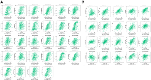 Figure 6 Correlation of COTL1 expression and lymphocyte and immune inhibitors in the TISIDB database. (A) Correlation between COTL1 expression and lymphocyte in BRCA. (B) Correlation between COTL1 expression and immune inhibitors in BRCA.