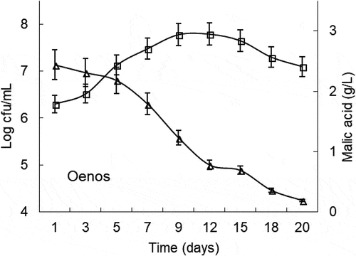 Figure 2. Oenos counts and time courses of malic acid concentrations during MLF in cherry wines. Values are mean of triplicates±SE. (□) denotes log CFU/mL and (Δ) represents malic acid concentration