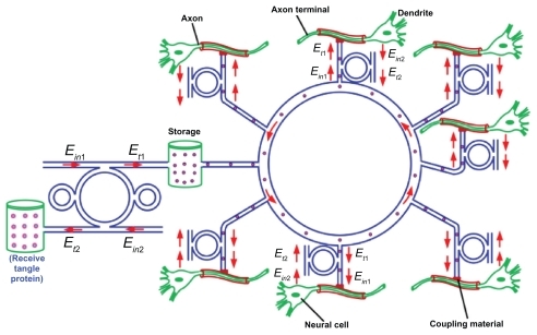 Figure 2 Schematic diagram of molecular ring network.