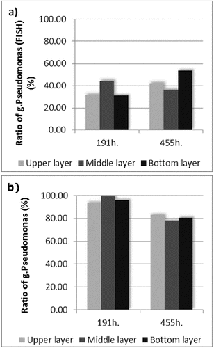 Figure 3. Pseudomonas spp. ratio to the total quantity of the microorganisms calculated on the basis of (a) FISH and (b) standard plate count techniques.