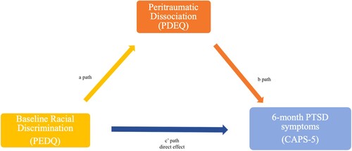 Figure 1. PROCESS Model 4 mediation analysis.