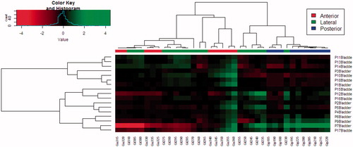 Figure 4. Cluster comparison plot for the log2 normalized mean dose to the bladder when treating the right section of the LNs with a 5 mm isotropic margin. A higher “Value” corresponds to a higher mean dose variation (top left). Correlating patients (rows) against angles (columns). The branch length corresponds to the Pearson distance between rows and columns respectively (one patient was excluded, due to outliers disturbing the visibility).