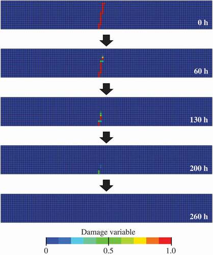 Figure 9. Time series snapshots of the distribution of damage variable D in the specimen of Fig. 5(a) during the healing stage under a prescribed condition after the unloading (temperature Th = 1623 [K] and oxygen partial pressure aO2=0.21).